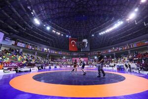موافقت اتحادیه جهانی کشتی با پیشنهاد فدراسیون ایران