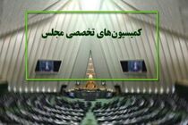 دستور کار کمیسیون‌های تخصصی مجلس/ ۸ وزیر به مجلس می‌روند