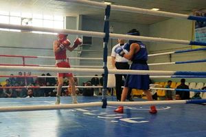 برگزاری لیگ بوکس جوانان برای نخستین بار