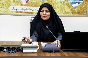 مشاور وزیر جهاد کشاورزی از حمایت ویژه از شرکت‌های دانش‌بنیان کشاورزی خبر داد