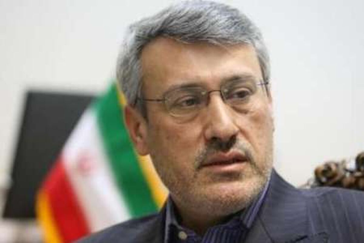 حمید بعیدی نژاد سفیر جمهوری اسلامی ایران