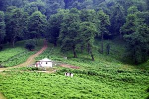 وجود 22 پارک جنگلی با مساحت بیش از 5هزار هکتار در مازندران