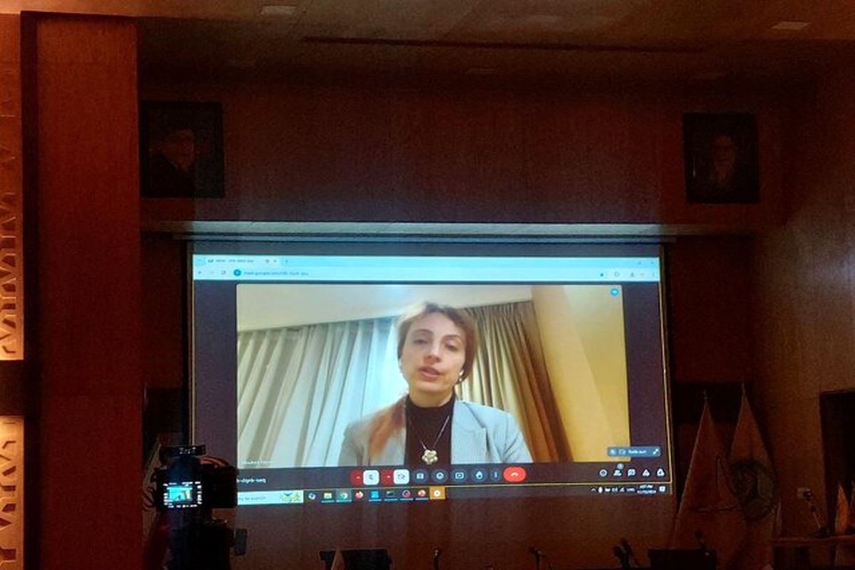 گزارشگر ویژه سازمان ملل