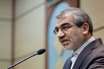 شورای نگهبان در برگزاری الکترونیکی انتخابات پیشگام است / جلسات مشترک وزارت کشور و شورای نگهبان برای اصلاح زیرساخت ها