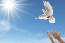 یک محکوم به قصاص به زندگی بازگشت