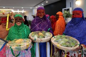 میناب؛ قلب تپنده طلای زرد ایران با ۱۷ هزار تن تولید