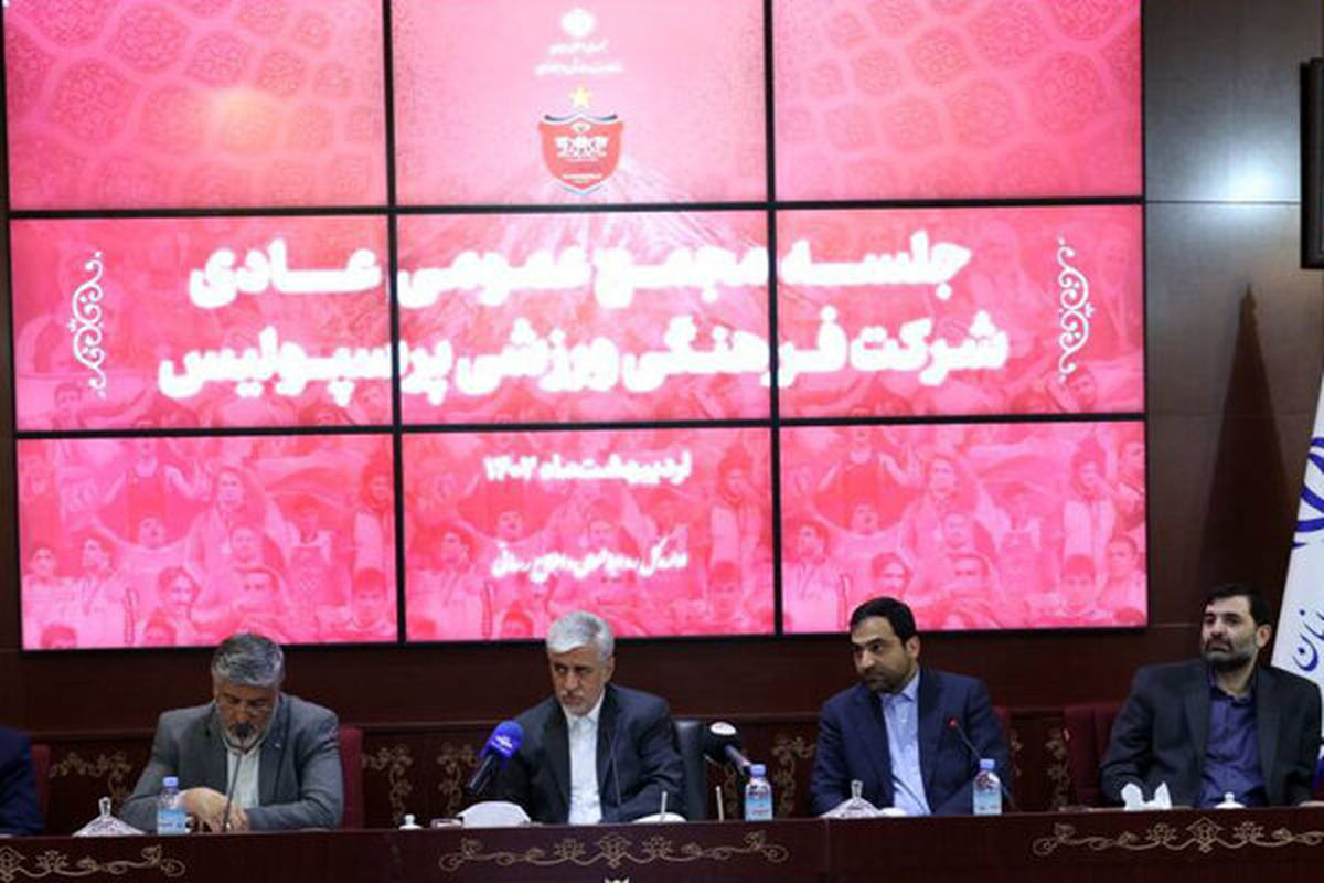 سازمان خصوصی سازی