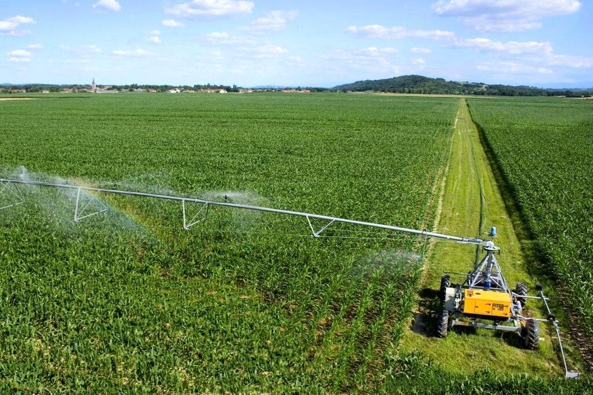 زمین های کشاورزی 