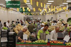 اختلاف قیمت 28 درصدی سبزیجات در میادین و بازارهای میوه و تره بار به نسبت سطح شهر