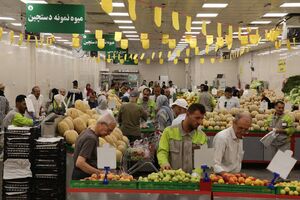 اختلاف قیمت 28 درصدی سبزیجات در میادین و بازارهای میوه و تره بار به نسبت سطح شهر