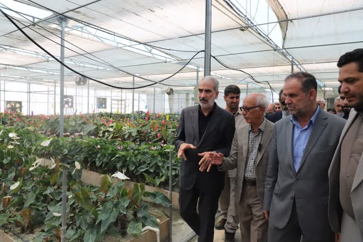 استاندار مازندران 
