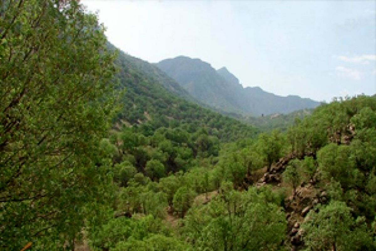 اصفهان- اراضی ملی