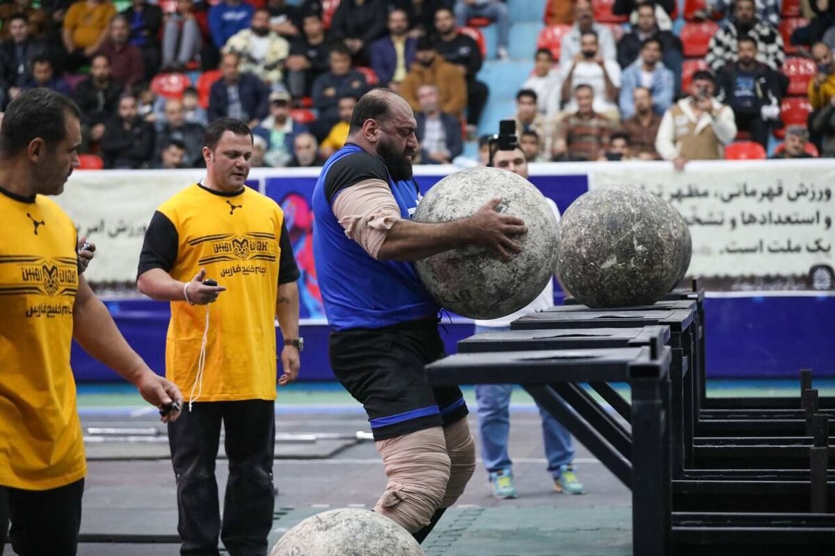 رضا قیطاسی