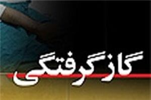 مرگ مادر و پسر بر اثر گاز گرفتگی