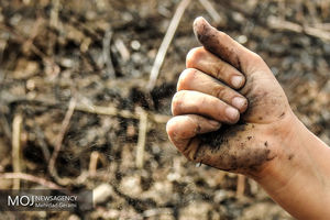 عامل انسانی علت 4 آتش سوزی در بنذرک میناب