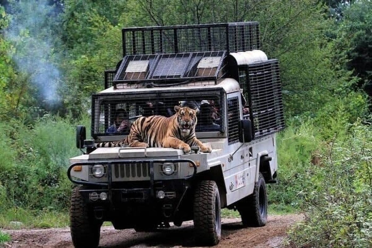 پارک حیات‌وحش الیمالات نور 