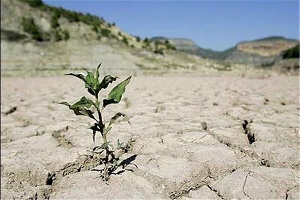 کاهش باران در خراسان رضوی