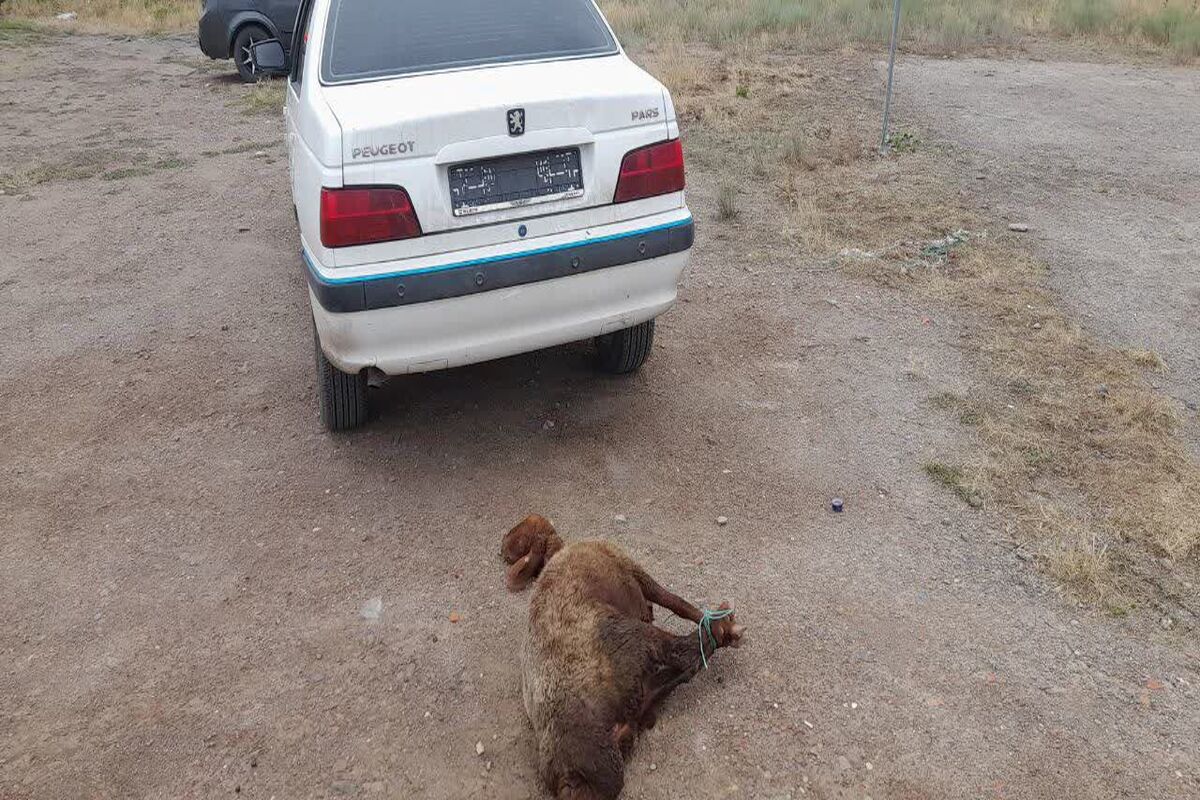 دادگستری بخش کجور 
