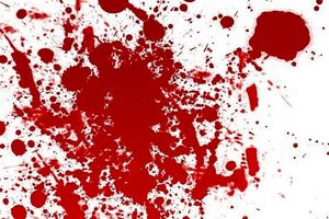 قاتل فراری قبل از اقدام به خودکشی دستگیر شد