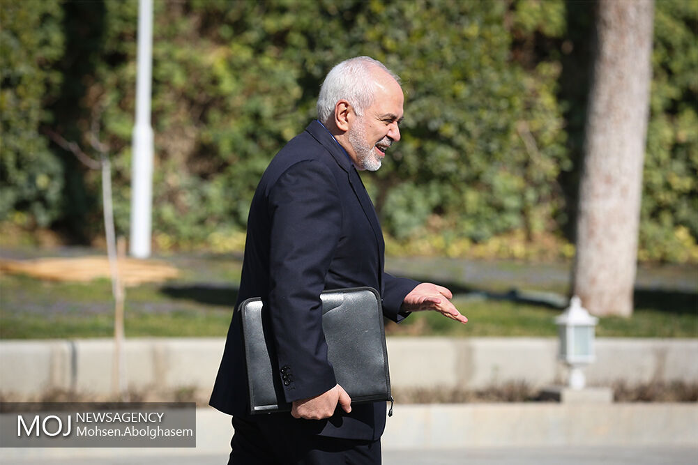 تنها گذاشتن ظریف را تاریخ ایران بر ما نخواهد بخشید