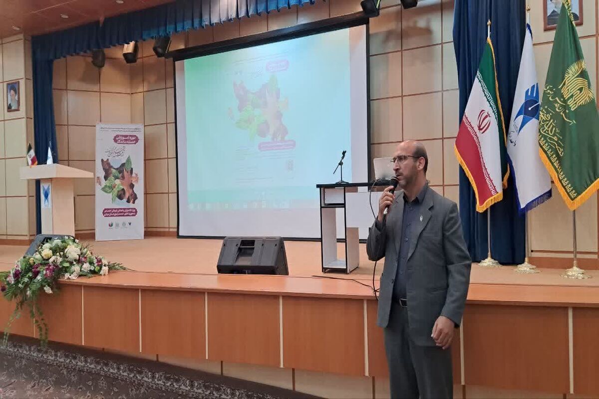 تسهیل‌گر جوانی جمعیت