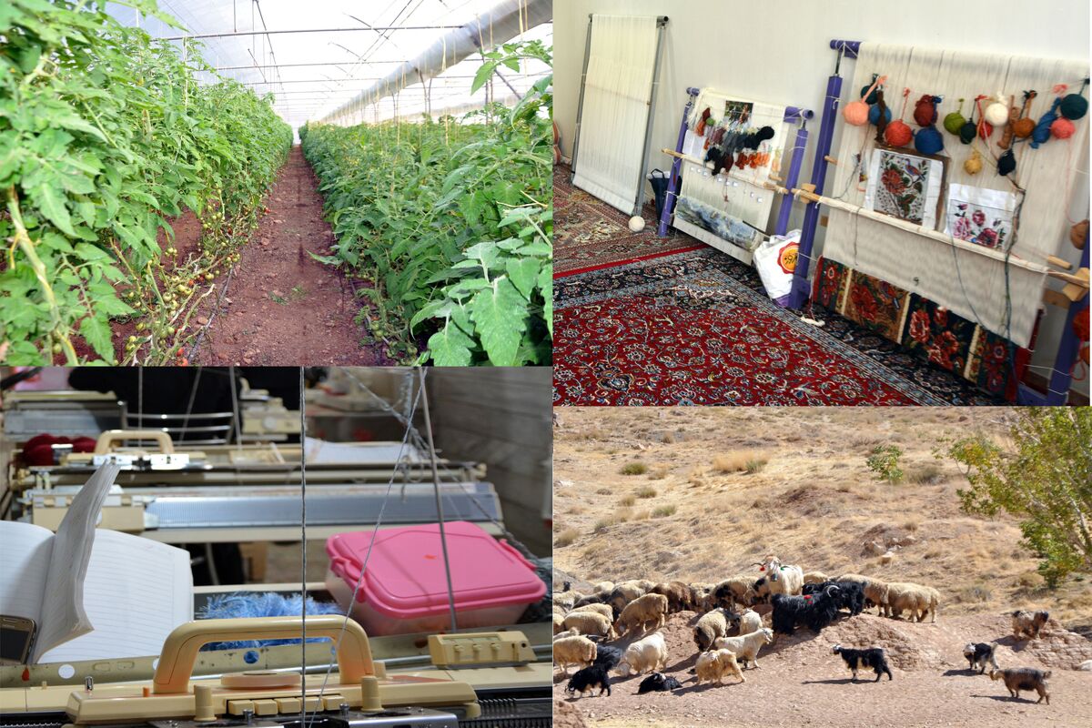 اشتغال روستایی 