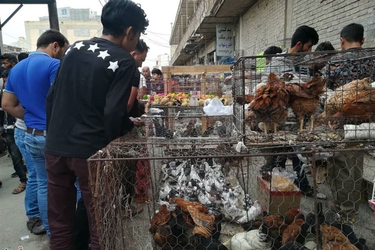 جمعه بازار کارگزاری