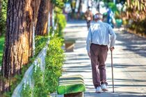 حمایت کمیته امداد ایلام از ۲۱ هزار سالمند؛ ۵۰ سالمند ایلامی در سن بیش از یکصد سال هستند