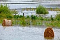 کشاورزی فرانسه چهار میلیارد یورو خسارت دیده است