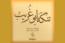 فیلمبرداری تنگه ابوغریب به زودی پایان می یابد