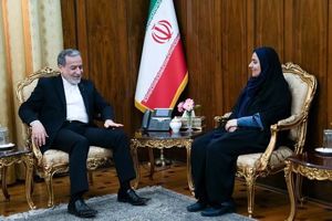 وزیر راه و شهرسازی با عراقچی دیدار کرد