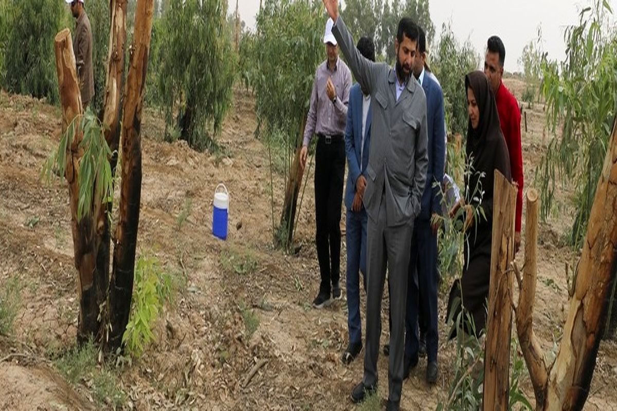 استاندار خوزستان
