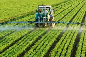 قنوات راه نجات کشاورزی در بحران کم‌آبی است