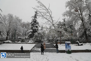 رویداد فرهنگی «باغ نیاوران از دیروز تا موزه» همزمان با روز درختکاری برگزار می‌شود