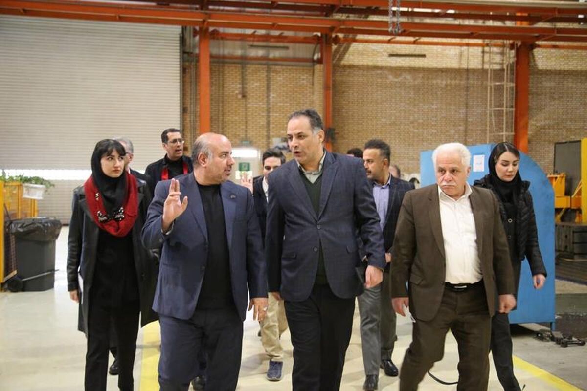 پتروشیمی دهدشت