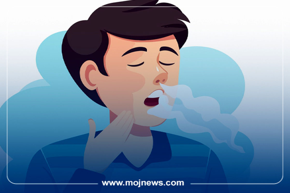 کاور اینفو2 copy2578