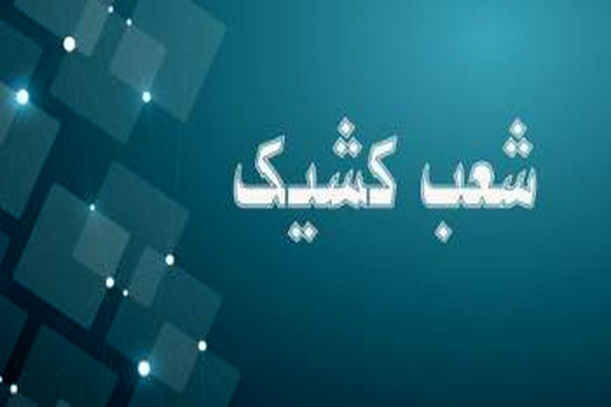 بانک توسعه صادرات ایران