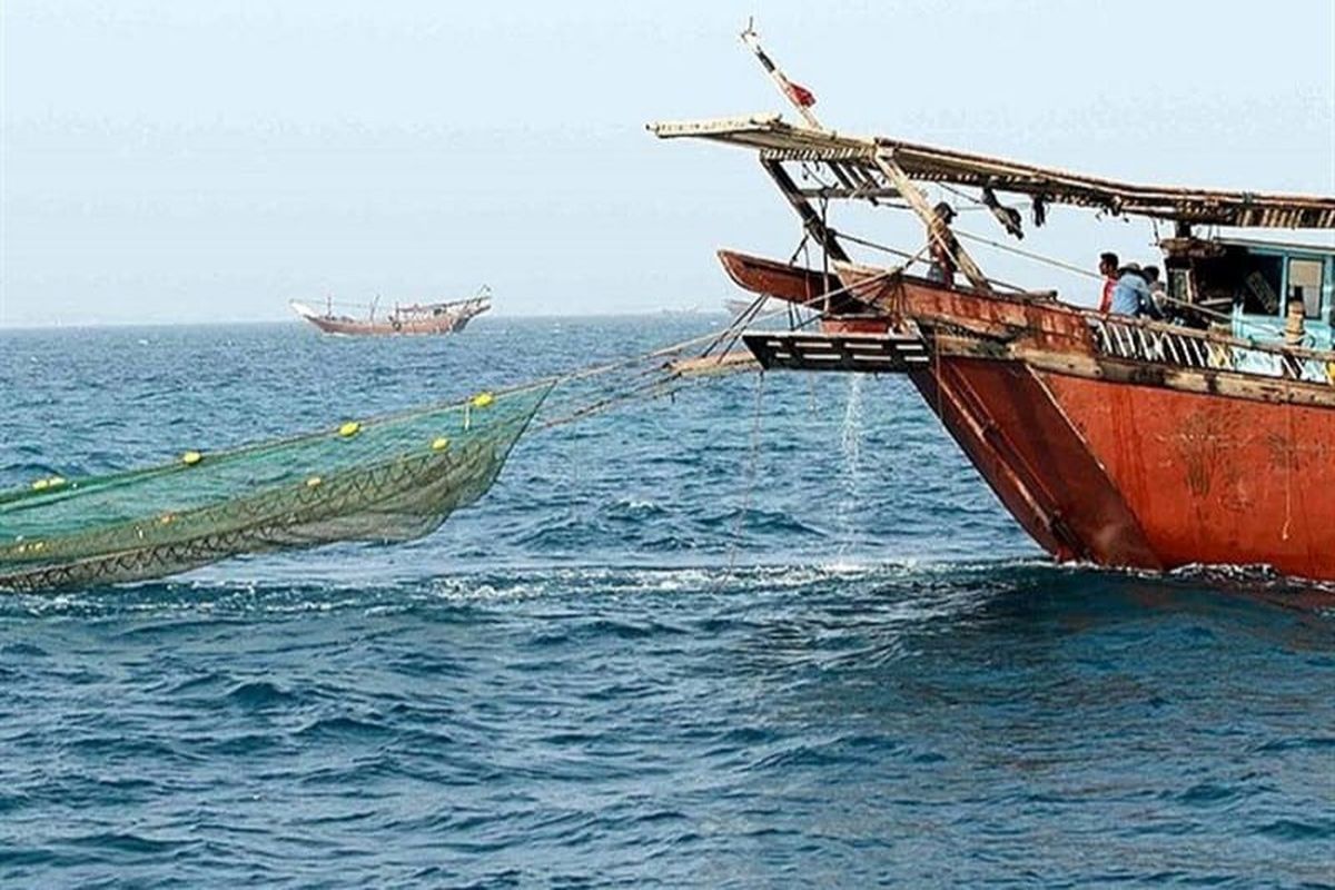 صید صیادان هرمزگانی 