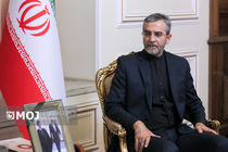 اقدام  آلمان ناقض موازین آزادی اندیشه است