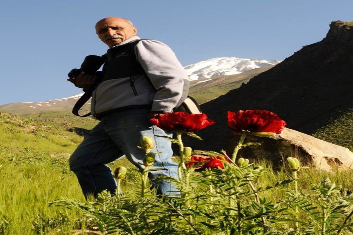 علیرضا سلطانی