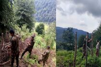 دست‌درازی به طبیعت سوادکوه ناکام ماند