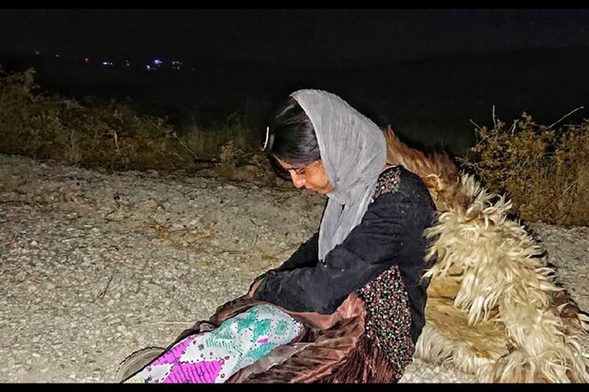 فیلم کوتاه گوسفندان ما را خواهند بلعید