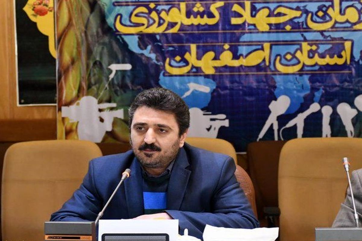 مهرداد مرادمند