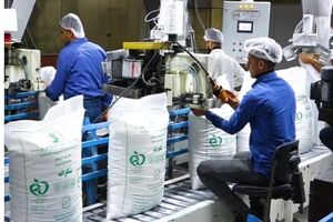 بارگیری ۲۴ ساعته شکر در صنعت نیشکر؛ تأمین نیاز بازار داخلی / توسعه نیشکر، شریان حیاتی تأمین شکر کشور