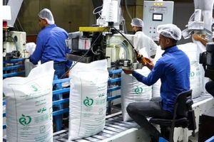 بارگیری ۲۴ ساعته شکر در صنعت نیشکر؛ تأمین نیاز بازار داخلی / توسعه نیشکر، شریان حیاتی تأمین شکر کشور