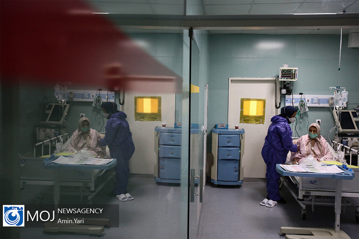 کرونا+بندرلنگه