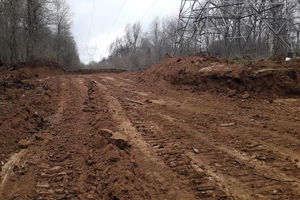 ‌متولی قطع درختان الیمالات مازندران مشخص شد/سازمان منابع طبیعی قطع  ۴۰۰۰ اصل درخت را تکذیب کرد