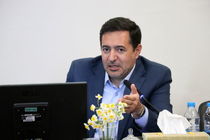 سیاست های تشویقی برای کشت قراردادی گندم در فارس اعمال می شود