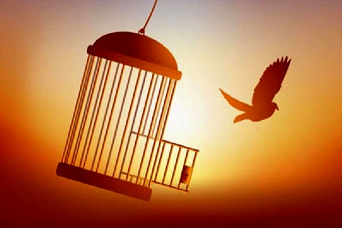 ستاد دیه استان 