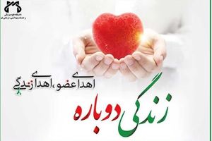 اهدای عضو به 7 نفر زندگی دوباره بخشید